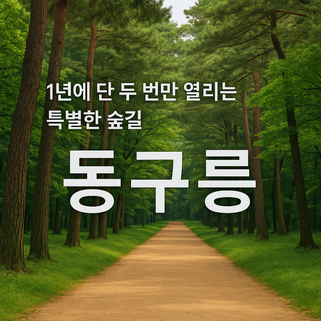 ✨ 1년에 단 두 번만 열리는 특별한 숲길, 동구릉