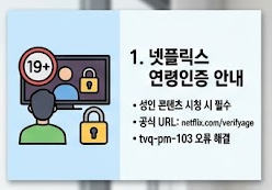 연령 인증 안내 인포그래픽
