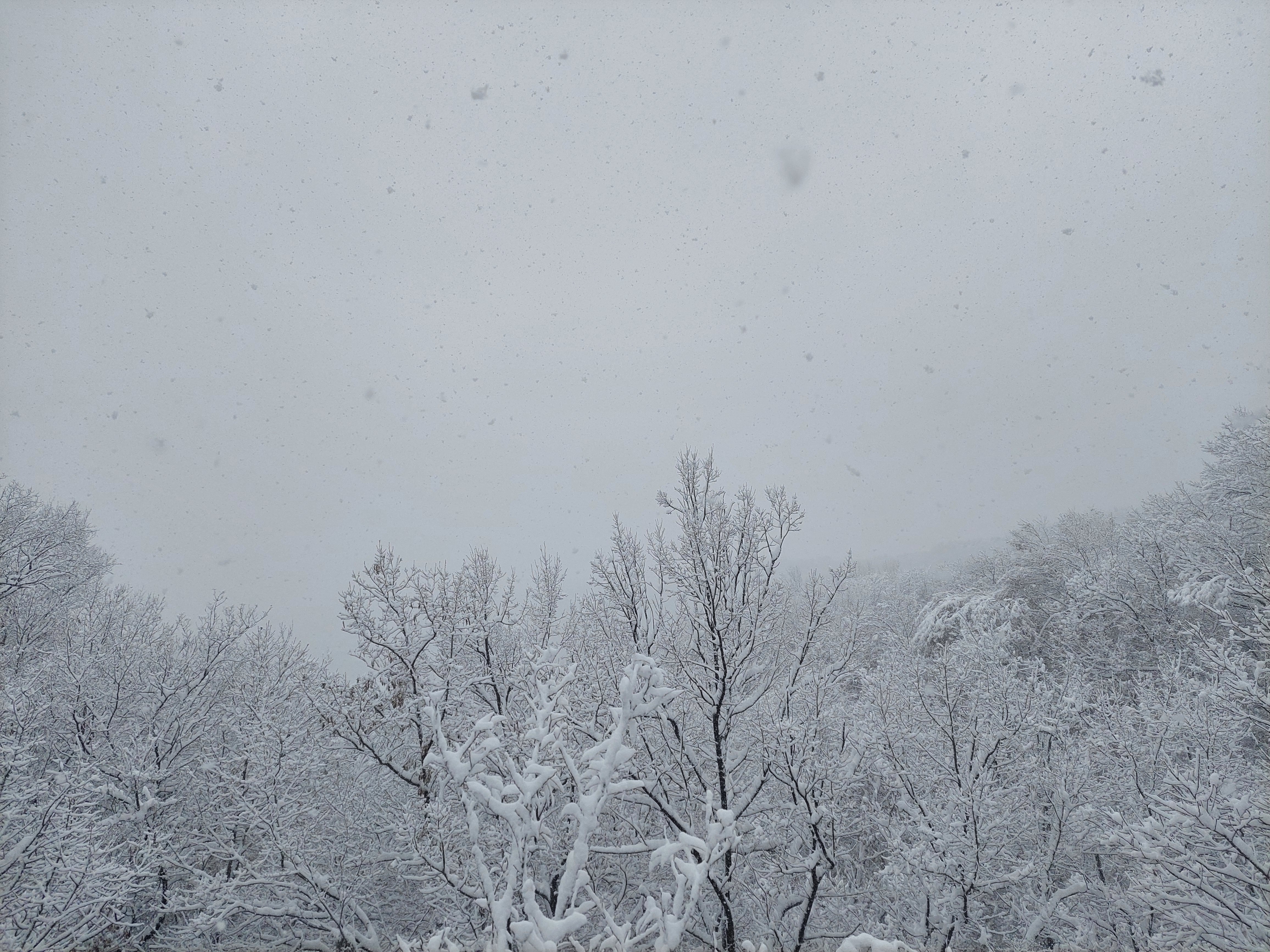 백련산안산