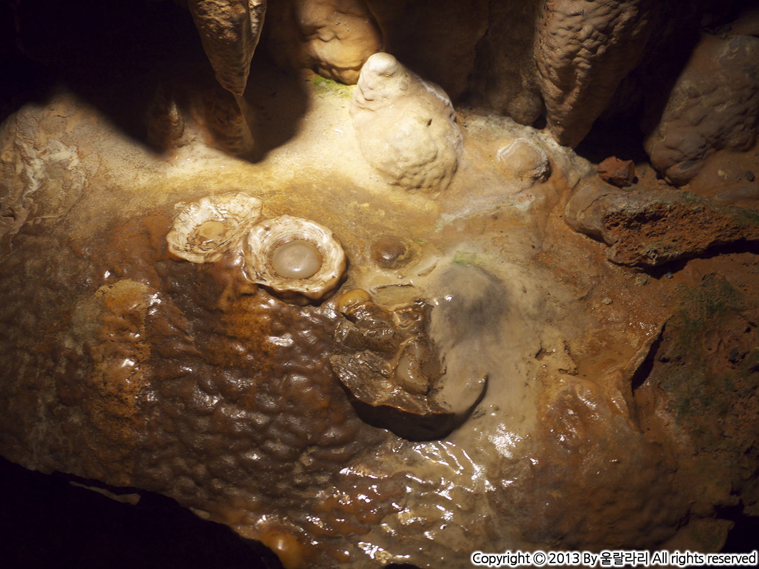미국 여행 버지니아 루레이 동굴 Luray Caverns