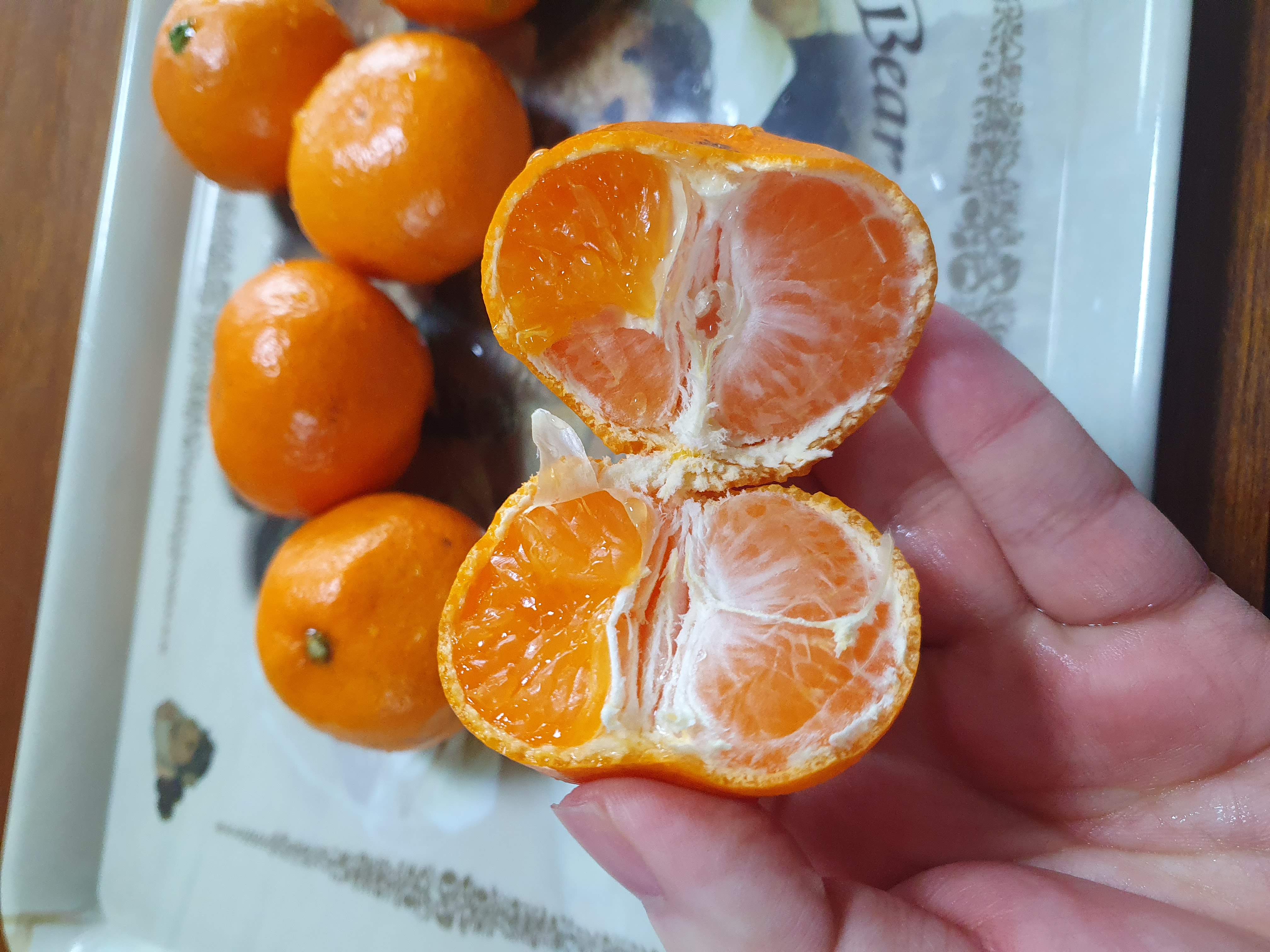 관저동 파머스 감귤 모두몽