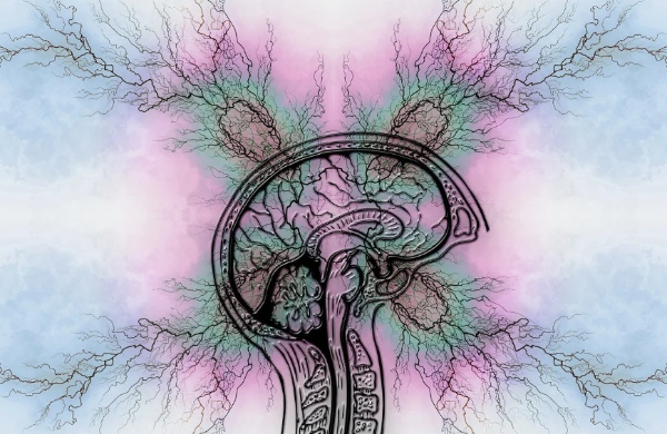 포이츠-예거스 증후군이란