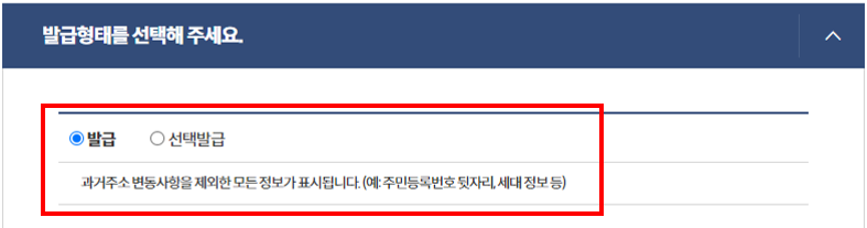 발급형태 선택