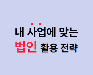 법인종류, 활용전략