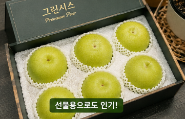 그린시스 배 정체는? 전참시 이영자 초록배 가격&middot;구매처 총정리6