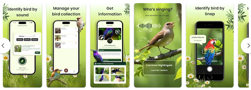 새 이름 찾기 앱, 핸드폰 사진으로 조류 이름 검색, 조류 도감 보기