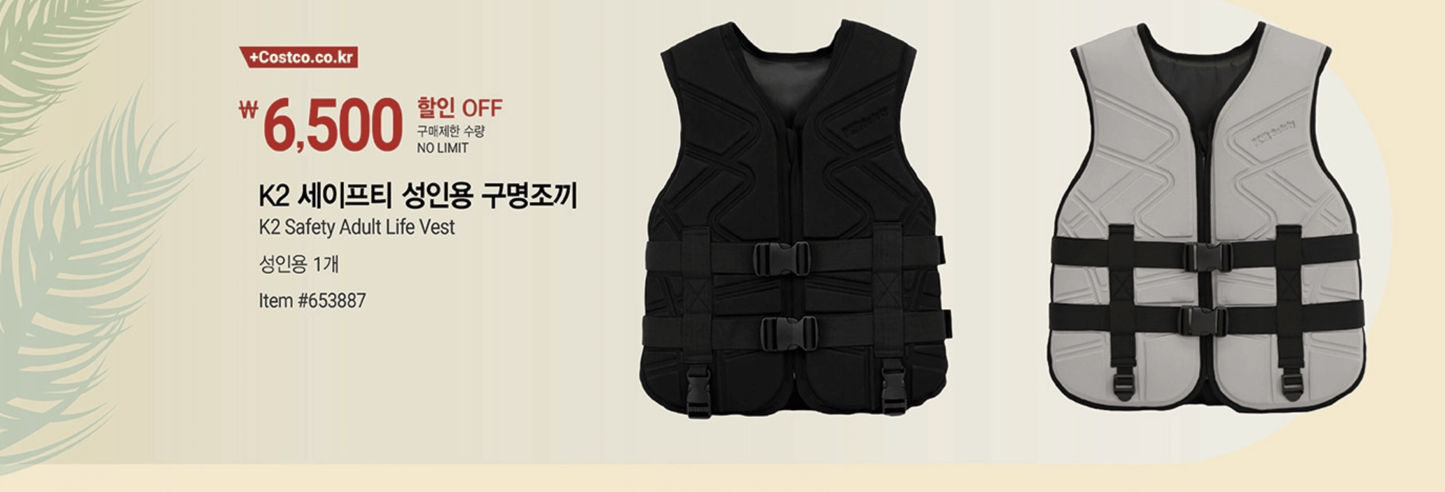 코스트코 6월 할인 정보