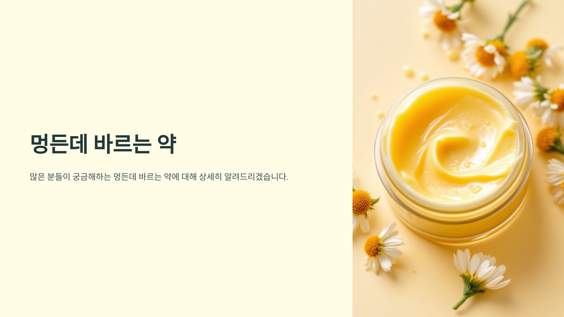 멍든에 바르는 약 연고