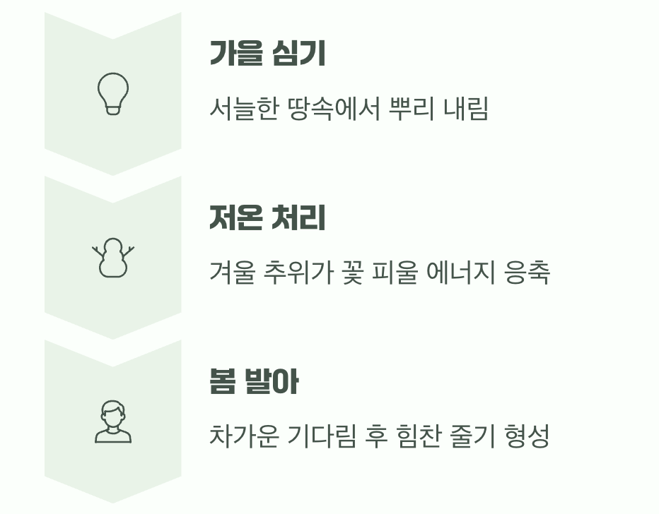 가을에 심는 약속&amp;#44; 겨울잠의 비밀