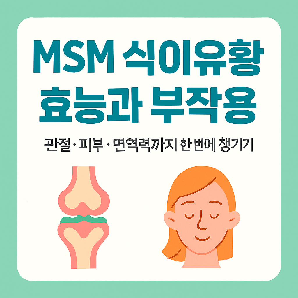 MSM 식이유황 효능과 부작용 관절·피부·면역력까지 챙기는 방법