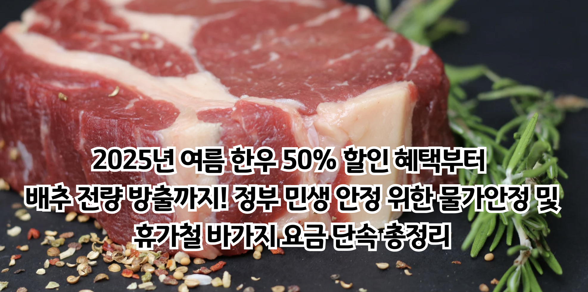 2025년 여름 한우 50% 할인 혜택부터 배추 전량 방출까지! 정부 민생 안정 위한 물가안정 및 휴가철 바가지 요금 단속 총정리