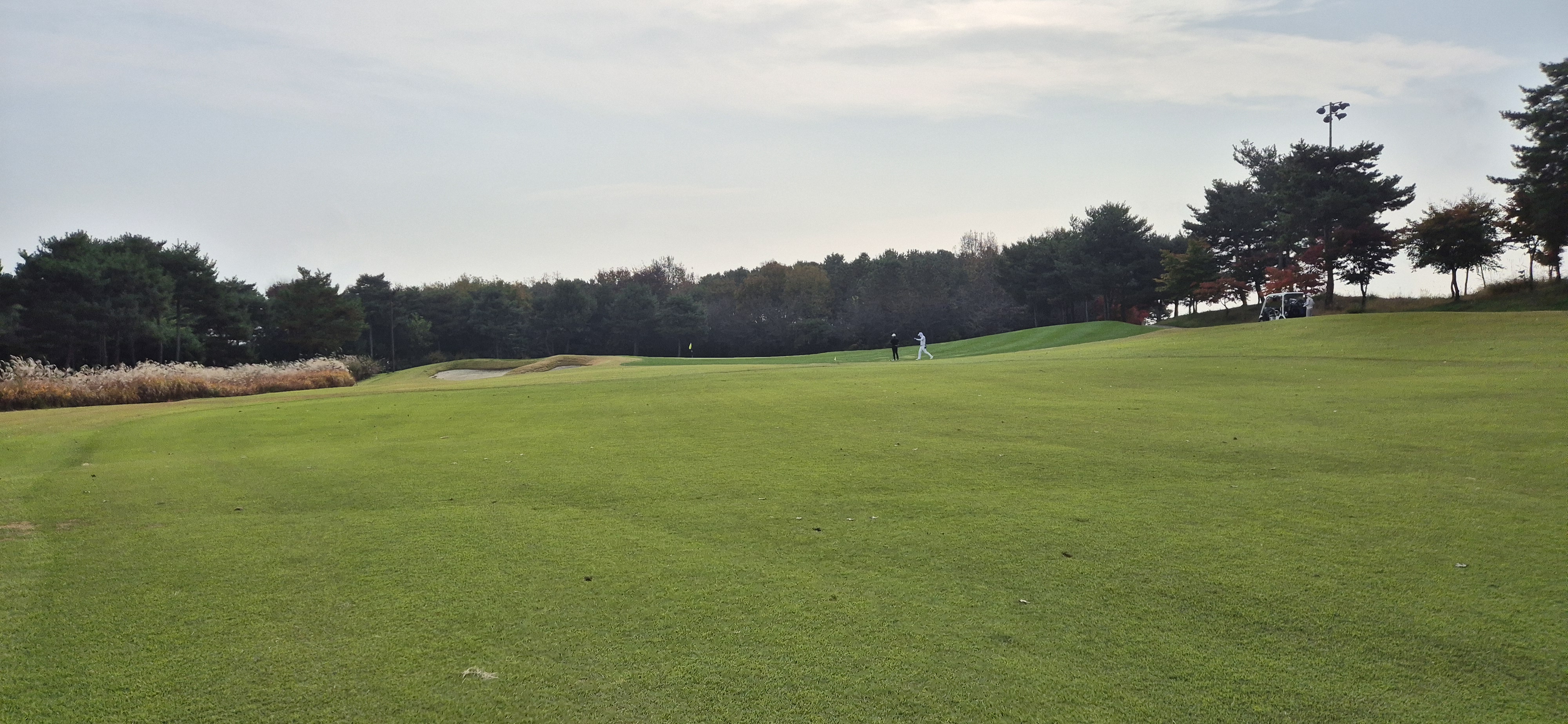 마이다스레이크 이천cc 올림푸스 코스 사진 및 공략 정보