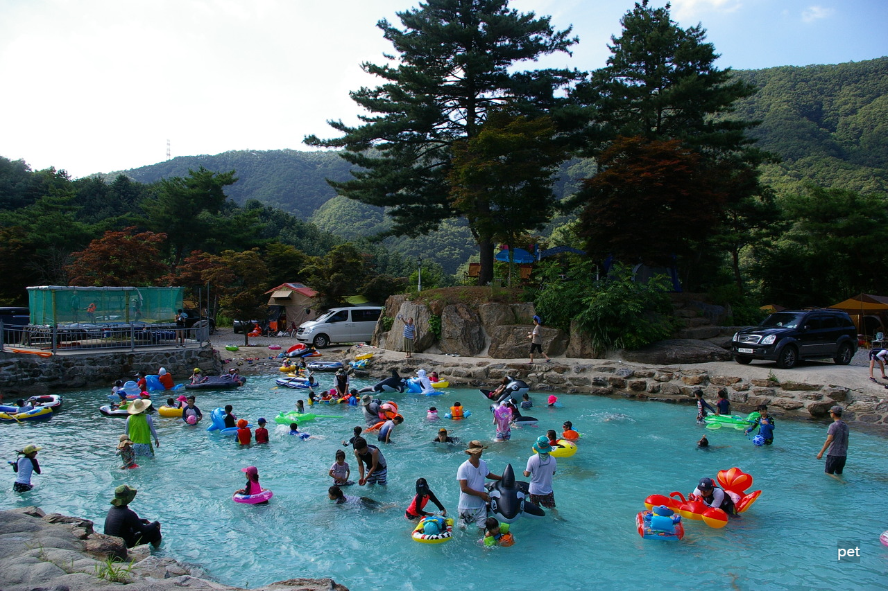 경기-동두천-산야초자연캠핑장-예약-방법-애견-동반-가격-주소-시간-후기