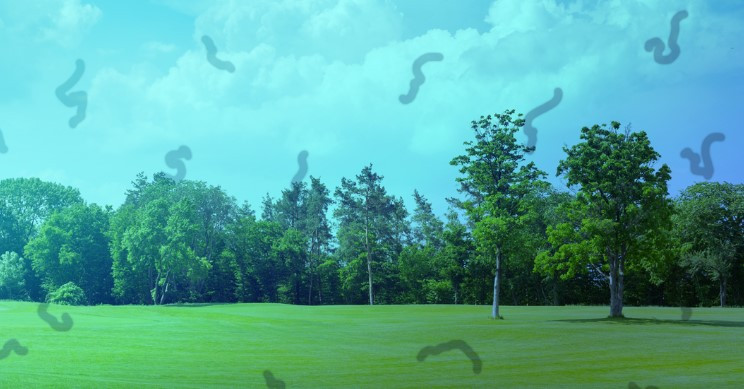 비문증 자주 묻는 질문 FAQ