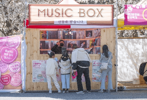 가평 에덴벚꽃길 벚꽃 축제