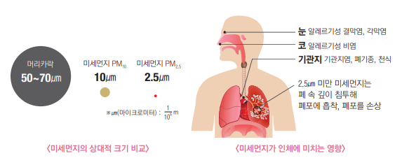 미세먼지가-건강에-미치는-영향