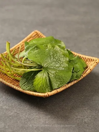 곰취 먹는방법 쌈 무침 장아찌 만드는법 요리 데치는방법_18