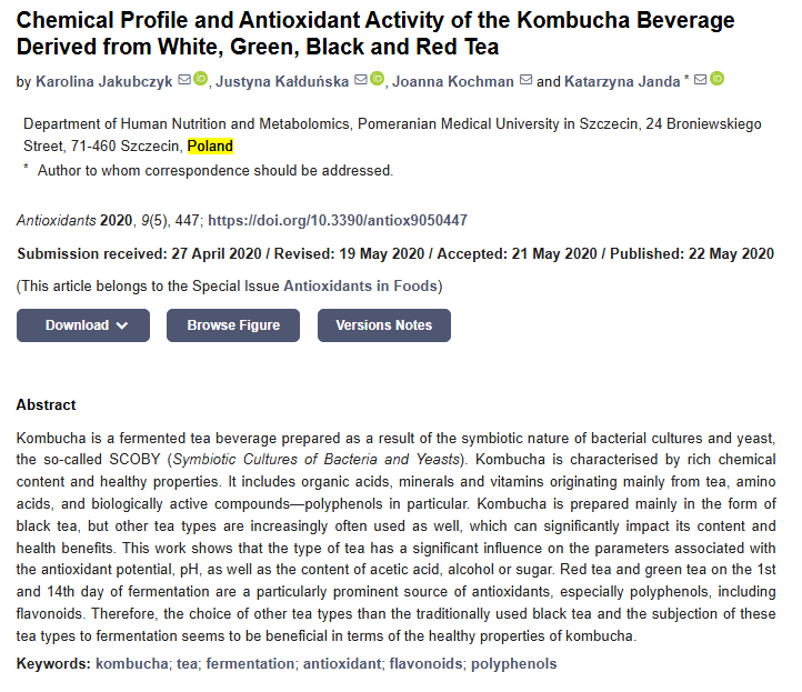콤부차의 항산화 효과 논문 초록