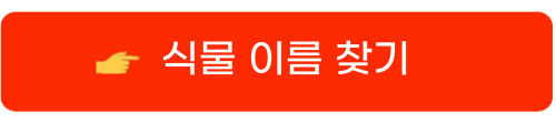 꽃검색9