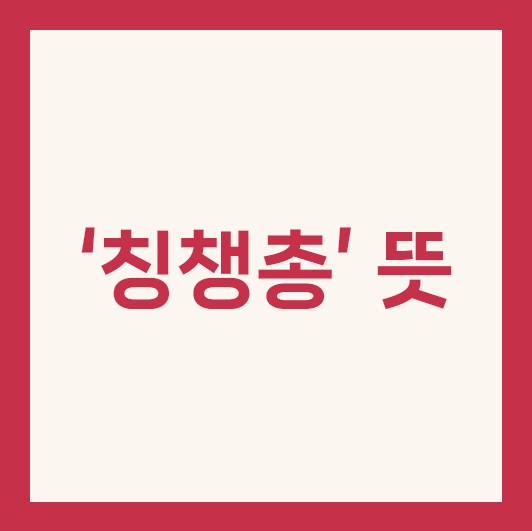 칭챙총 뜻