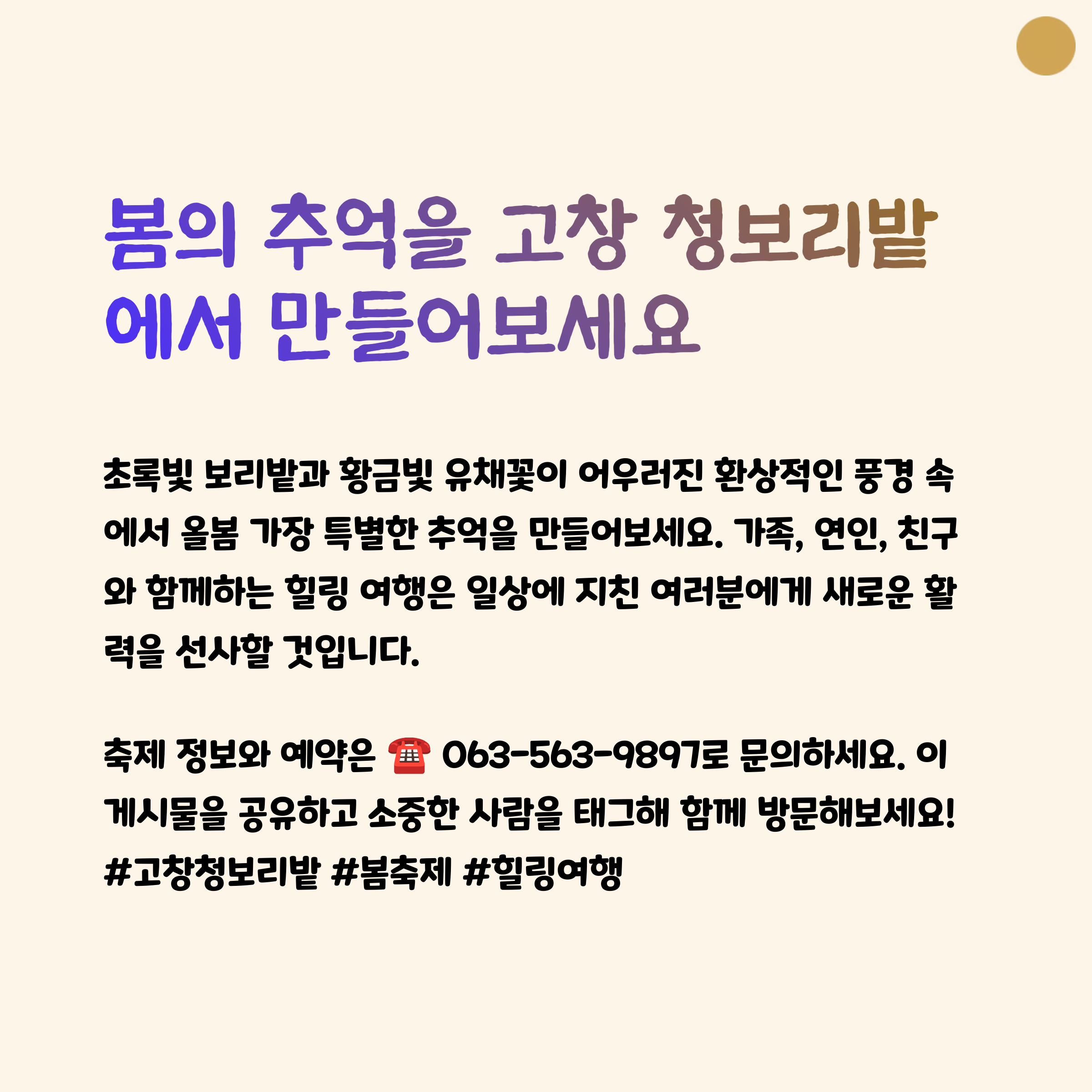 고창 청보리밭