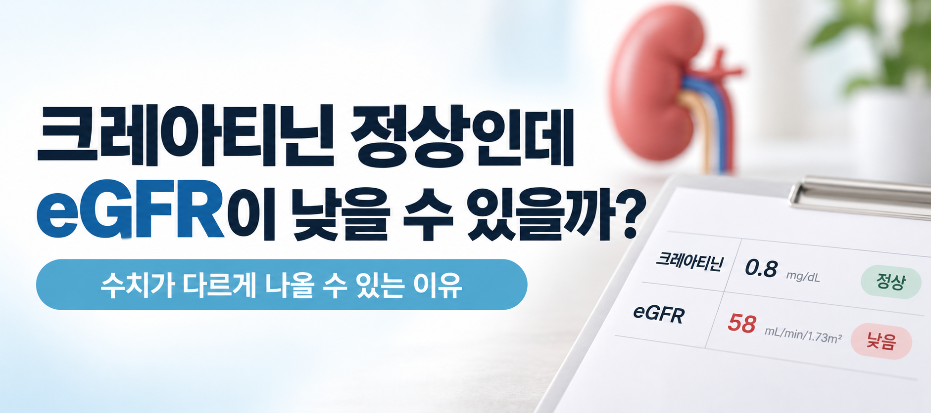 크레아티닌 정상인데 eGFR이 낮게 나온 검사 결과 이미지