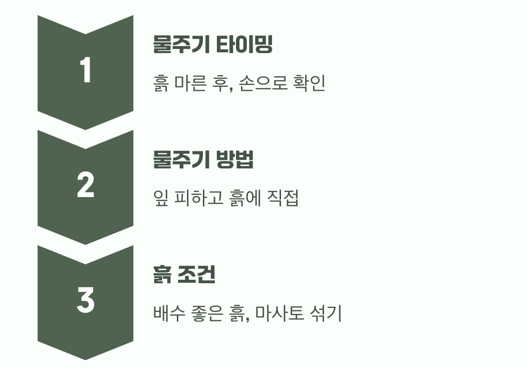 과습은 금물, 흙과 물주기의 비밀