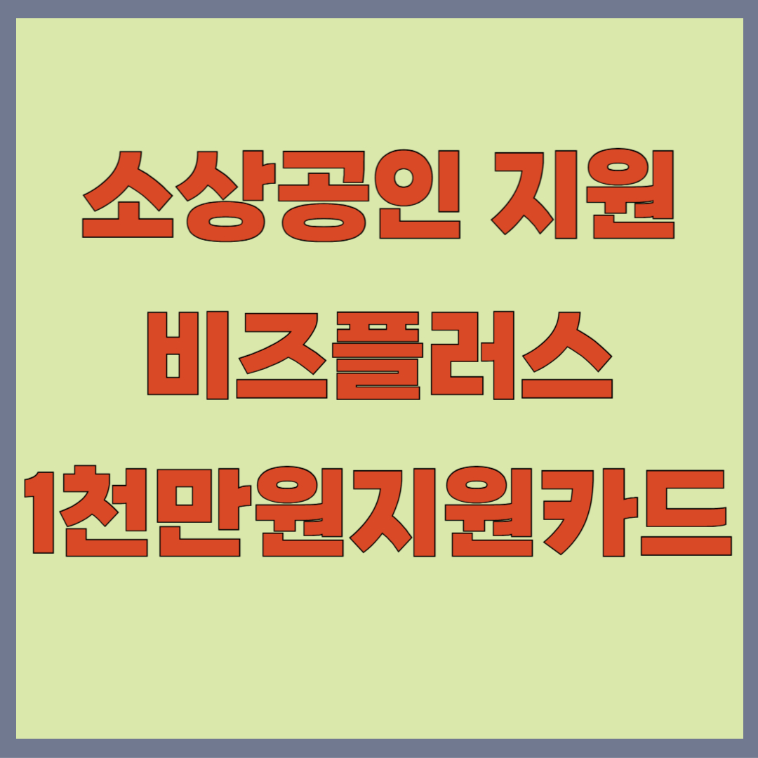 비즈플러스 카드 신청 자격 및 병원 사용처 법인 한도