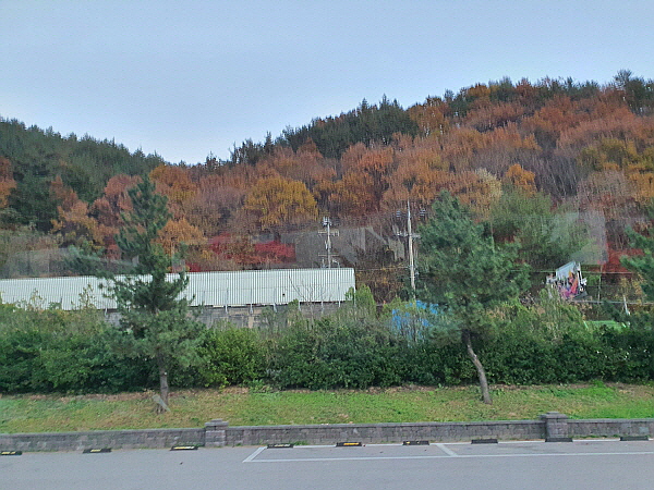 통리