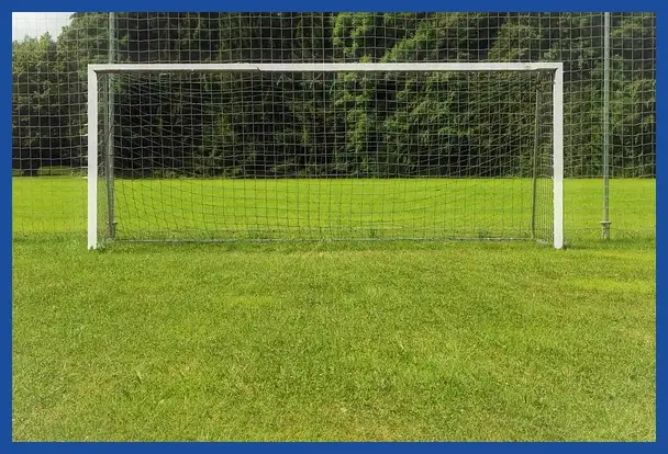 축구 국가대표 감독 연봉 순위: 클린스만&amp;#44; 만치니&amp;#44; 벤투까지 완벽 분석