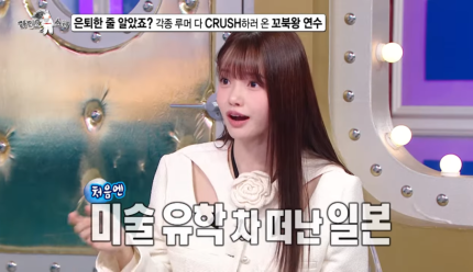 하연수, 은퇴설 해명과 일본 활동 이야기…새로운 도전과 현재의 상황