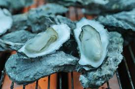 6시내고향 사천 굴구이 순애민박 위치 예약 꿀팁 대공개