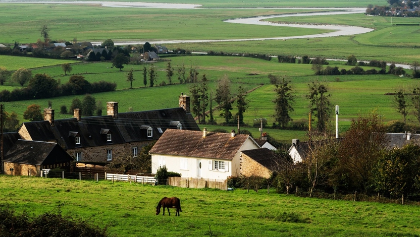 전원생활: 현실적인 기대와 준비가 필요한 이유