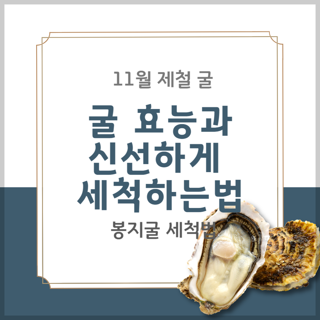1월 제철 굴 효능과 신선하게 세척하는 법