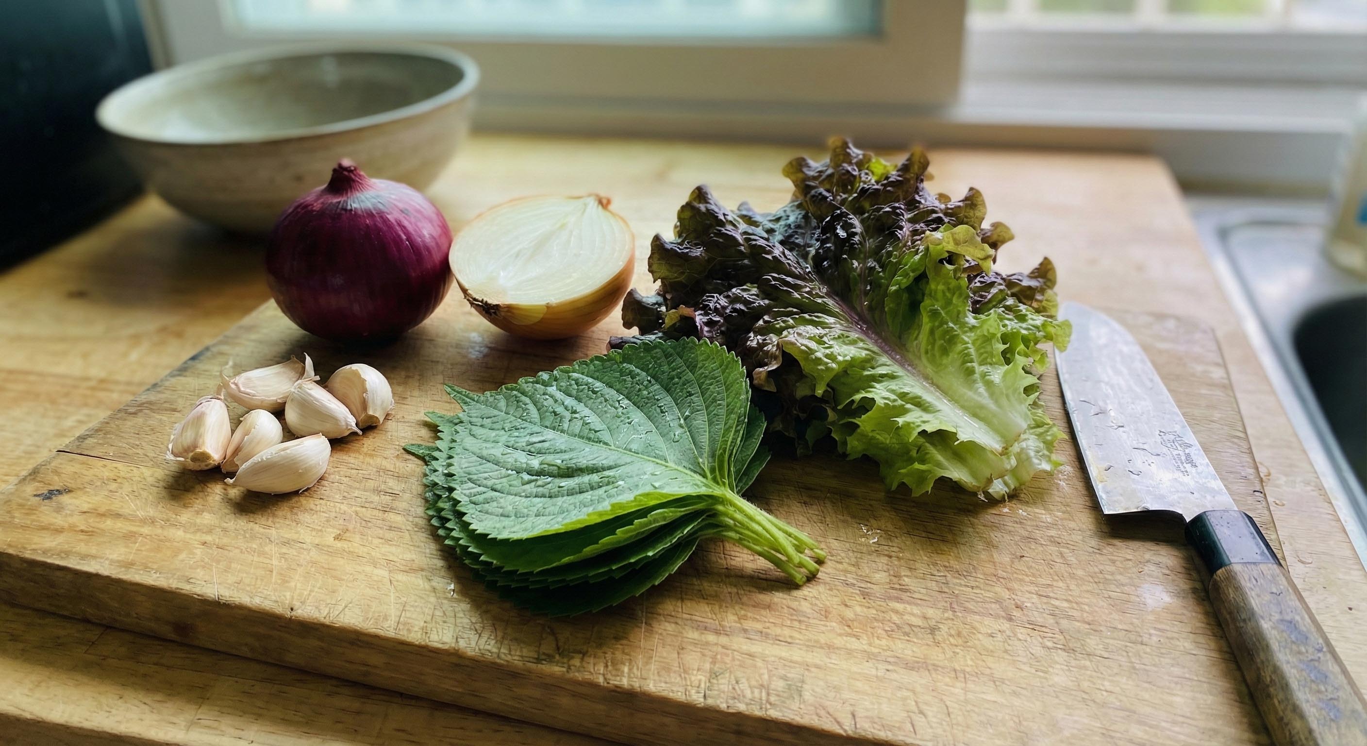 항암 마늘 양파