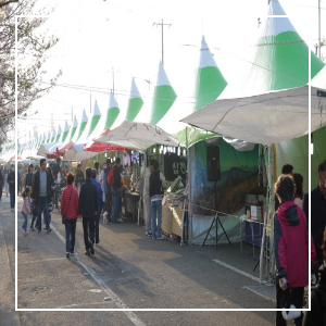 2025년 진해 군항제 부대 행사 중 벚꽃향토마켓일시 이미지