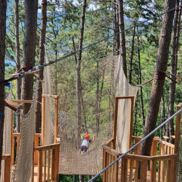 거제 맹종죽테마공원