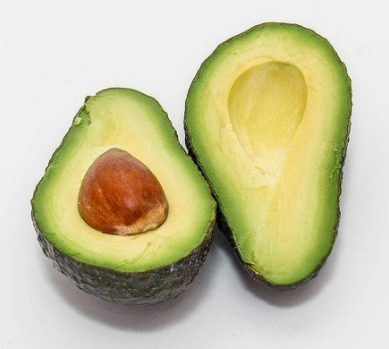 아보카도 사진