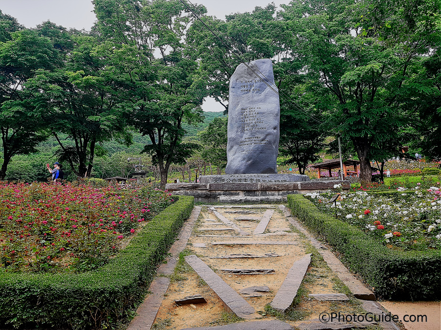 계양산장미원