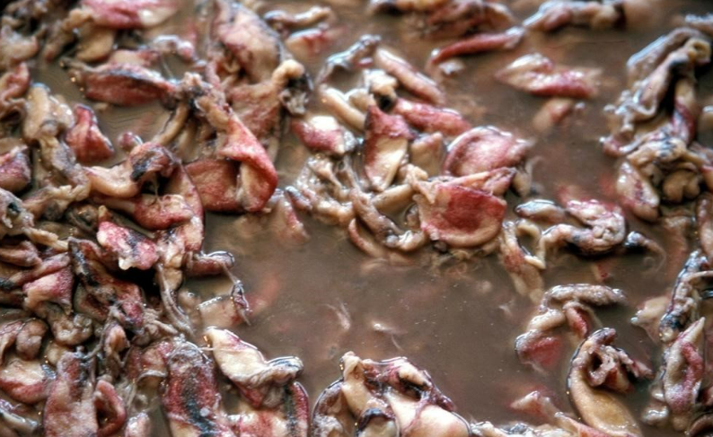 꼴뚜기효능 갑오징어효능 장항항 수산물 꼴갑축제