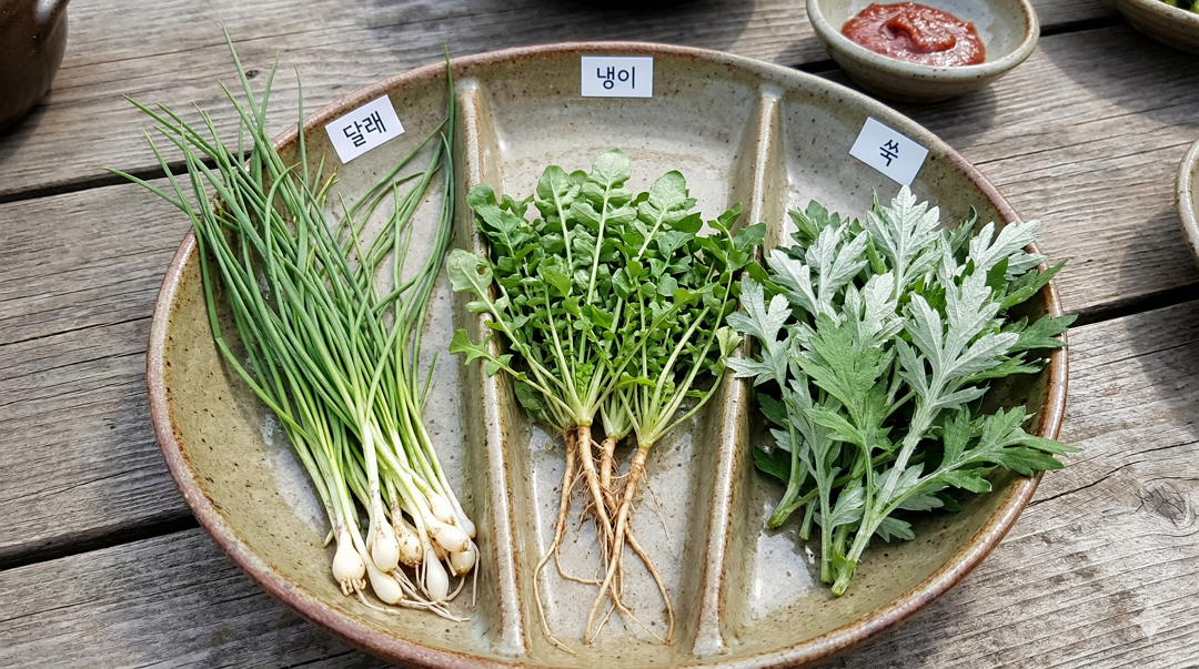 봄나물 달래 냉이 쑥 한 접시 비교 사진