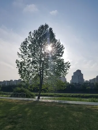 산소 갈 때 준비할 음식 상차림 복장 완벽한 가이드_25