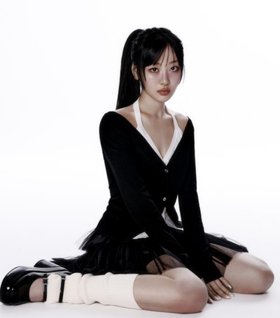 이브 가수 프로필