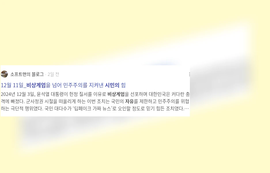 비상계엄과 시민의 자유_2_subsection