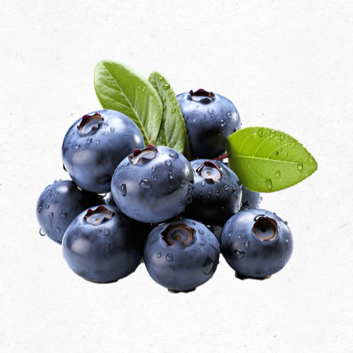 아침 요거트 위에 토핑된 블루베리