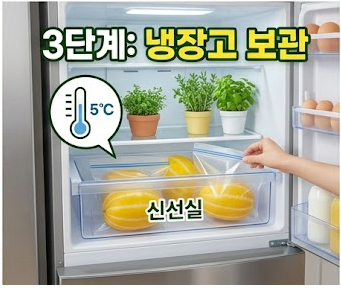 참외 보관법