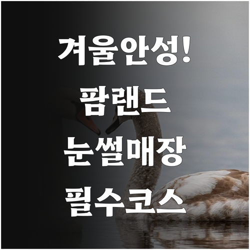 겨울 안성 여행지 안성팜랜드 눈썰매장..