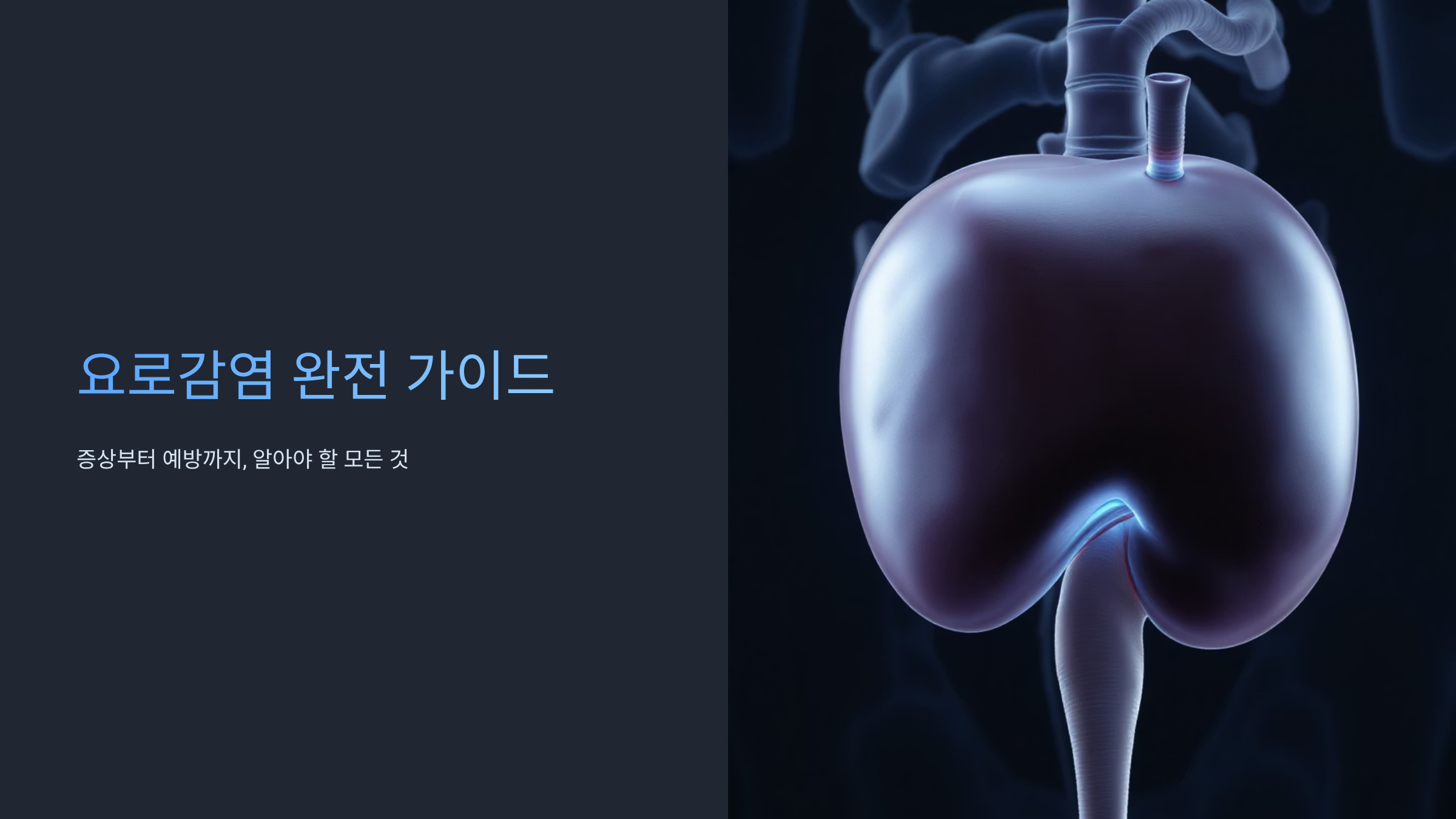 요로감염 증상과 치료법 완벽정리