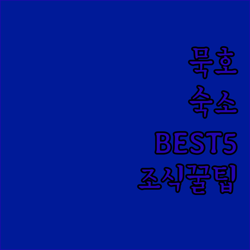 강원도 동해 묵호 여행 숙소 베스트 ..