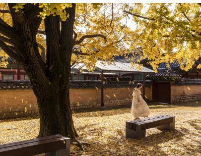 한국에서 떠나는 주말 여행 추천! 숨겨진 국내 명소 7곳